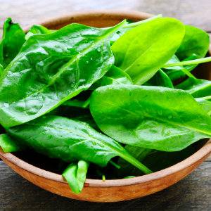 Vertical Farming Spinach